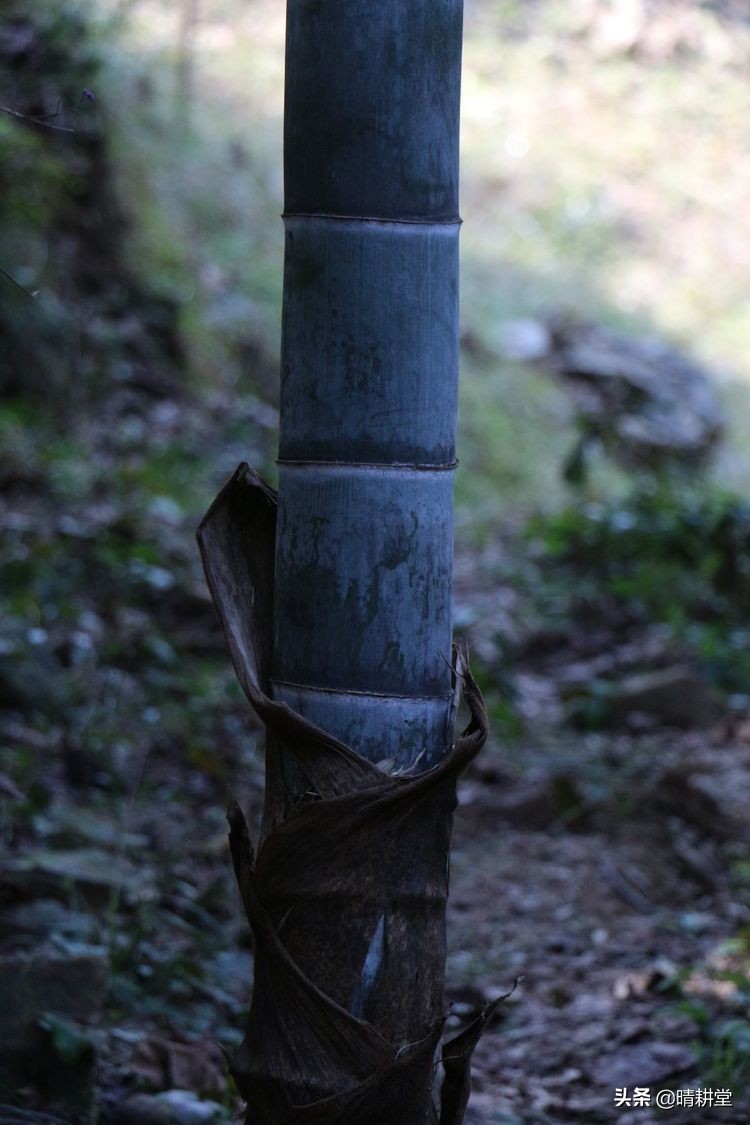 赣州峰山附近一日游自驾游景点,赣州峰山美景