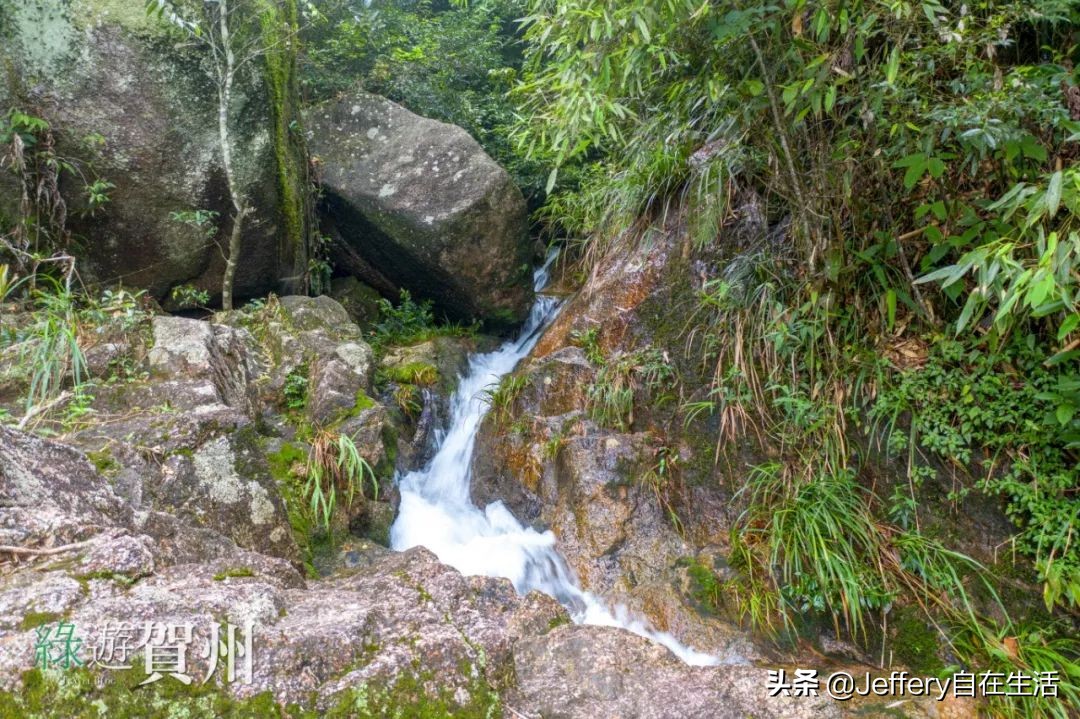 拍贺州｜莲塘镇大山深处的“一号基地”