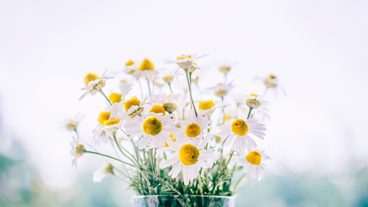 一句话励志评语简短精辟,50句最著名的励志评语