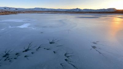 iphone13目前公认拍照最好看,iphone13全系列拍照对比