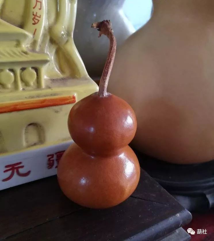 如何把葫芦盘成红色,葫芦真能变成枣红色吗