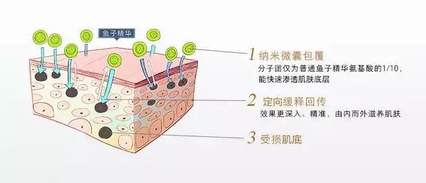 有了前法国第一夫人的百元“黑科技”眼霜,我把3000块眼霜扔了!