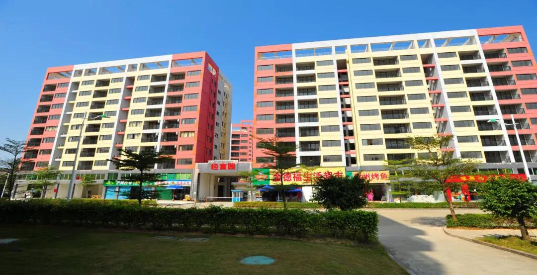 龙岗人才房配租申请,龙岗人才房配租