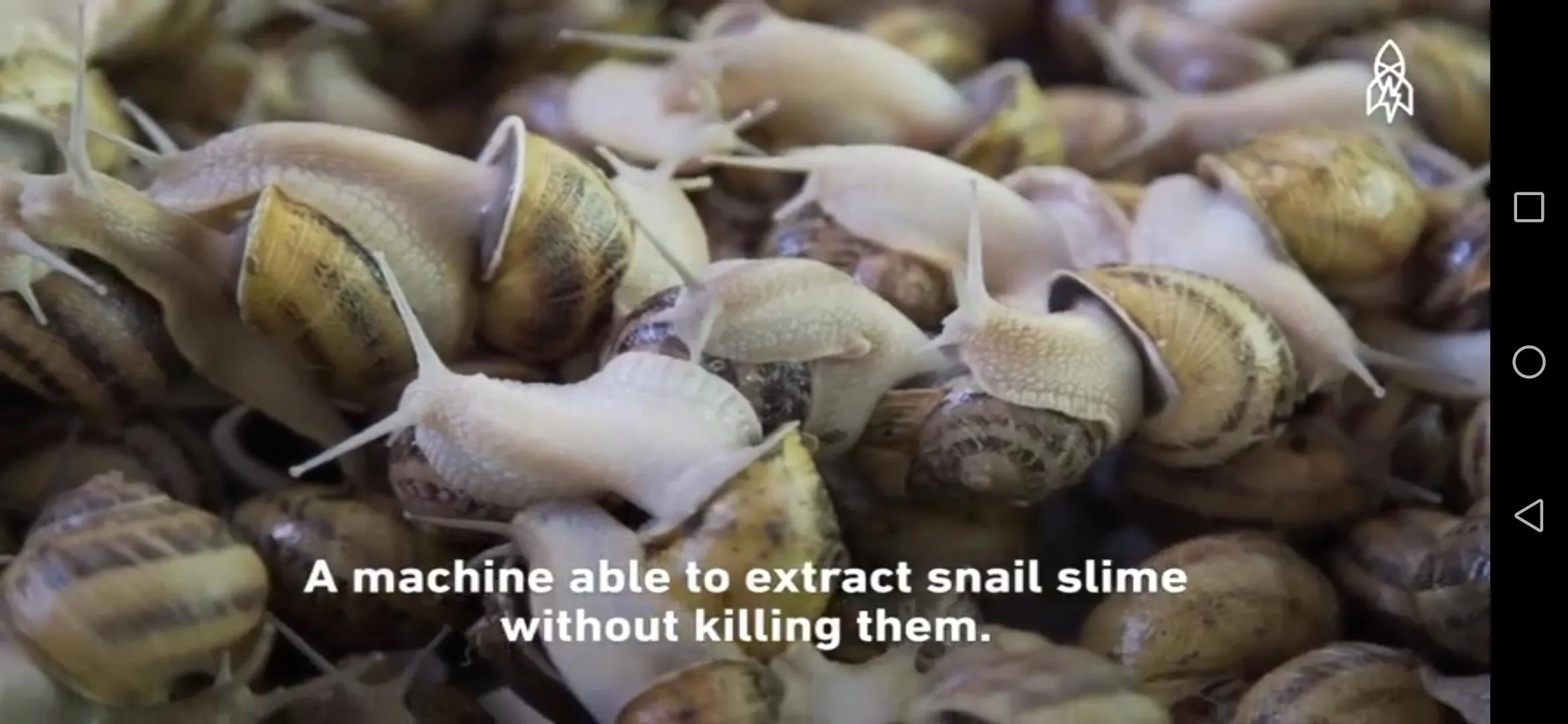 蜗牛护肤品都有修护作用吗,蜗牛的护肤品怎么这么便宜