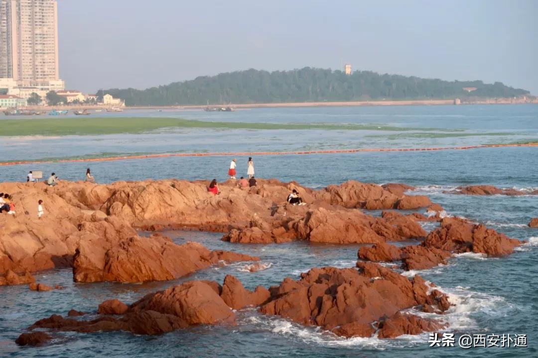 青岛烟台威海玩海攻略,青岛威海烟台大连环线旅游攻略