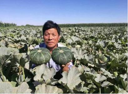 鍘熶骇鑷棩鏈殑姘存灉,鍘熶骇鏃ユ湰澶х背10鍏枻