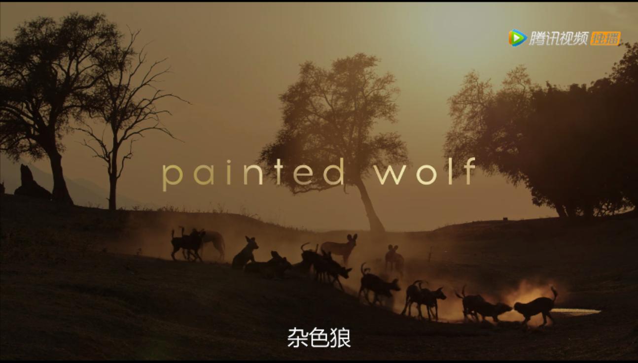 《王朝》详述杂*狼色**女儿居然对母亲六亲不认？