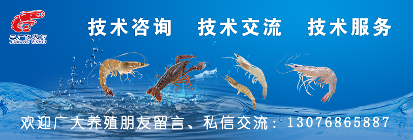 为什么会有棉花虾,棉花虾是什么