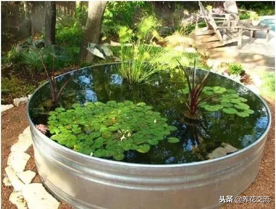 庭院水池最简单最省钱制作,庭院水池小摆设