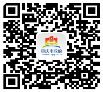 重庆市政府APP客户端“渝快办”今日成功上线,首批推出300+项老百姓最关心、最高频、最便捷的便民服务事项