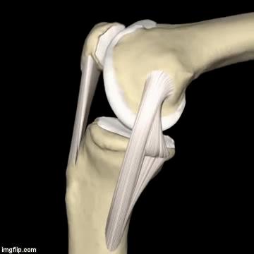 骑自行车膝关节酸是怎么回事,骑自行车时膝盖疼是怎么回事