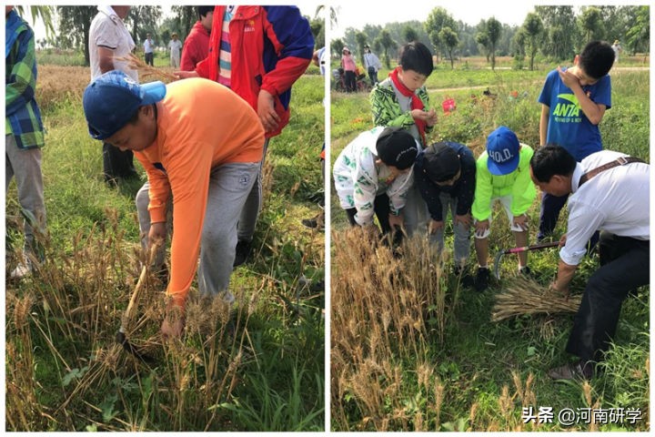 农耕科技研学旅行基地课程设计,农耕文化研学活动方案