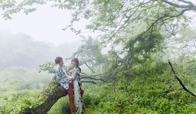 具惠善安宰贤离婚连续剧,具惠善安宰贤离婚完整版