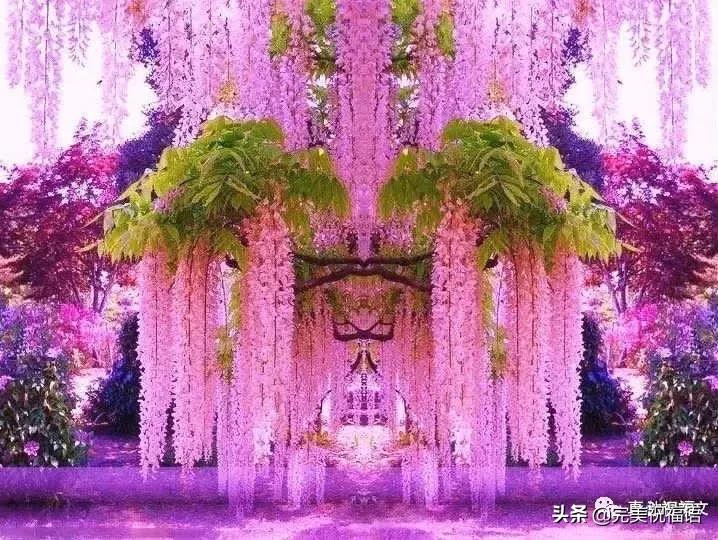 《老有老的骄傲》,送给群里的朋友