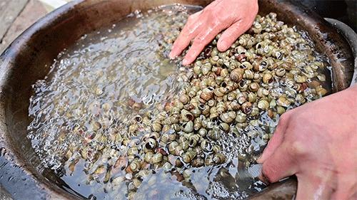 一道菜火了一个店,一道菜带火一座城