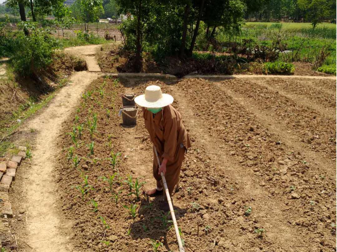 抢抓农时开展农业生产,农民纷纷抢抓春耕生产有利时机