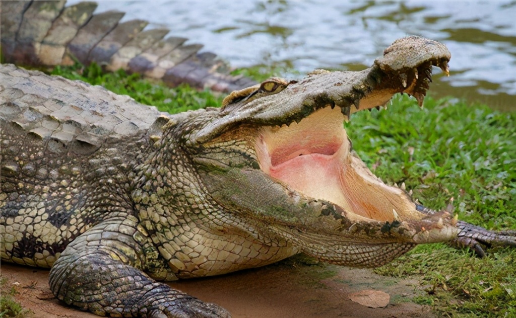 爱泼斯坦事件牵扯多少女性,爱泼斯坦被谁揭发的