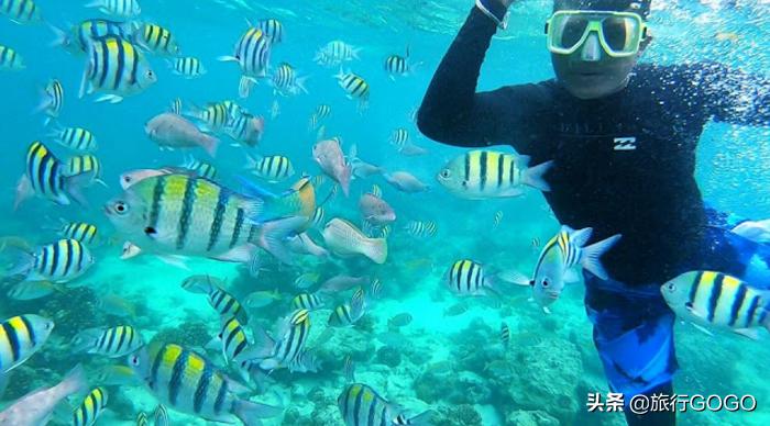 菲律宾宿雾30天天气,菲律宾宿雾旅游要带多少钱