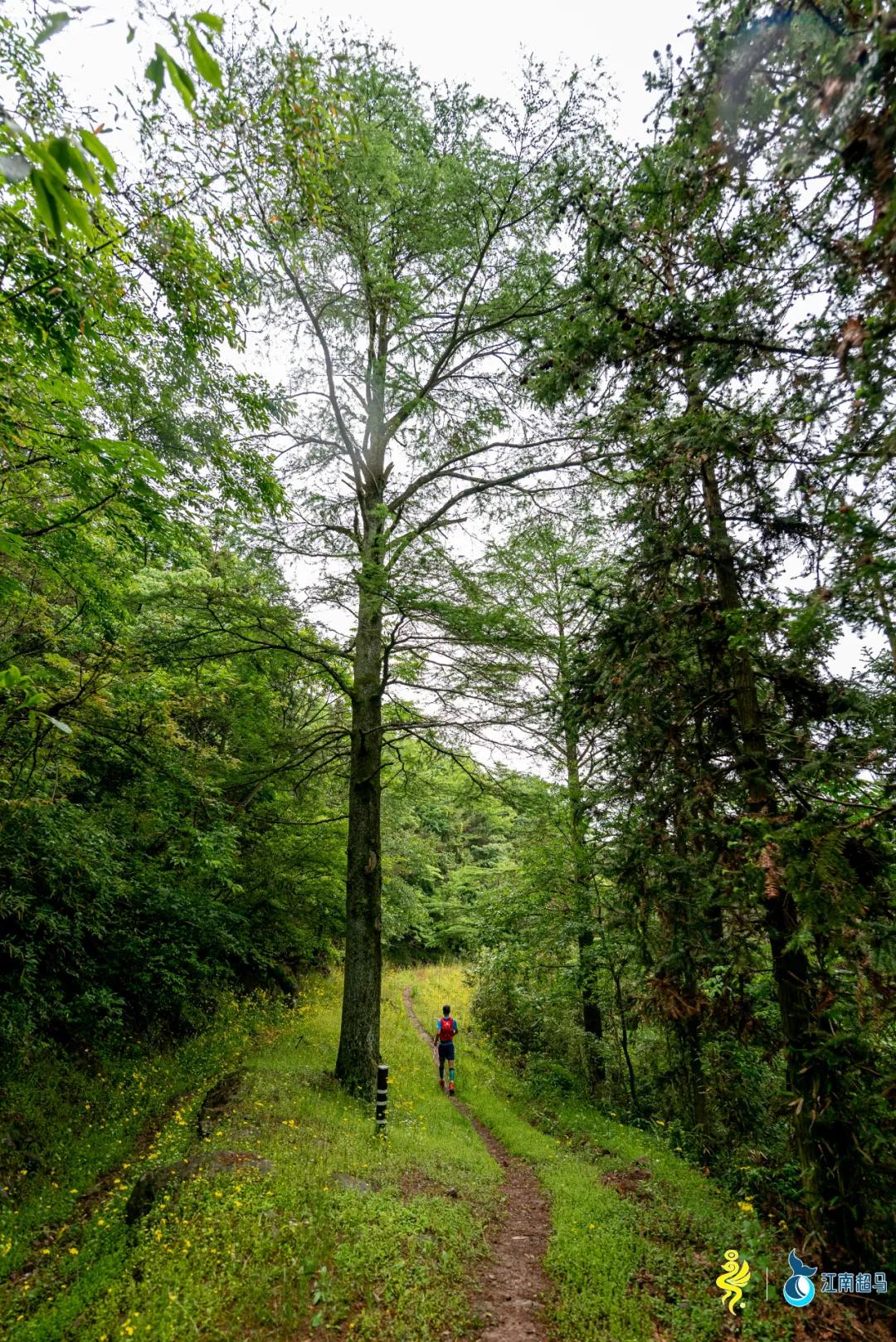 越野跑鞋选购技巧和攻略,越野跑鞋大小怎么选