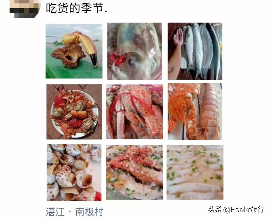 广东著名渔港开渔,广东开渔季节