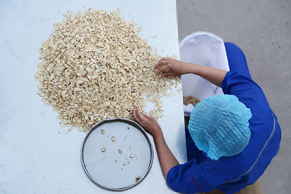 “古法炮制”是安国医院制剂中心雷打不动的坚守