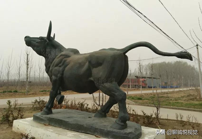 茌平“菜瓜打金牛”,王菜瓜啥也没得到,罗家园落下金牛角