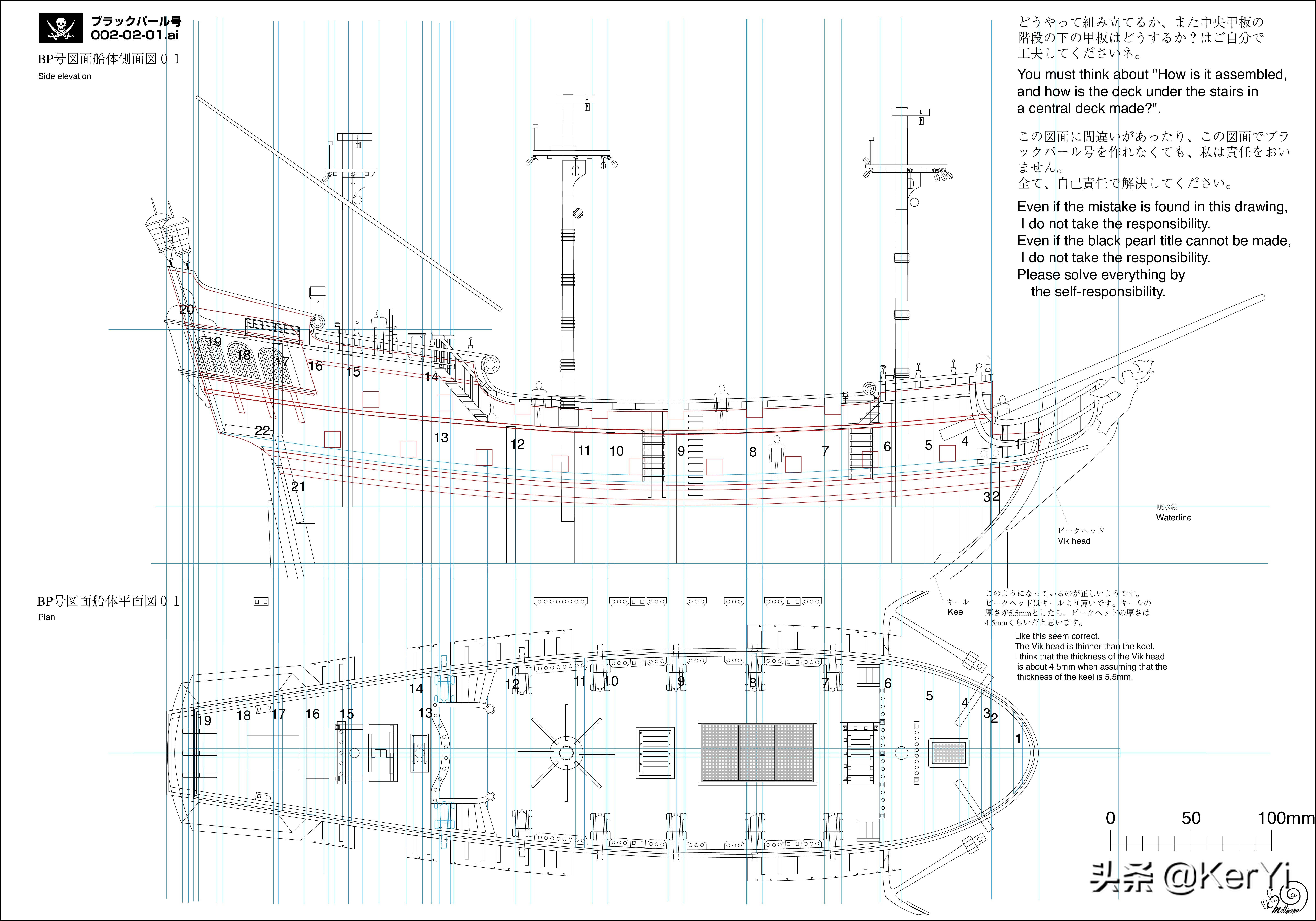 黑珍珠二维图纸,真品黑珍珠图纸