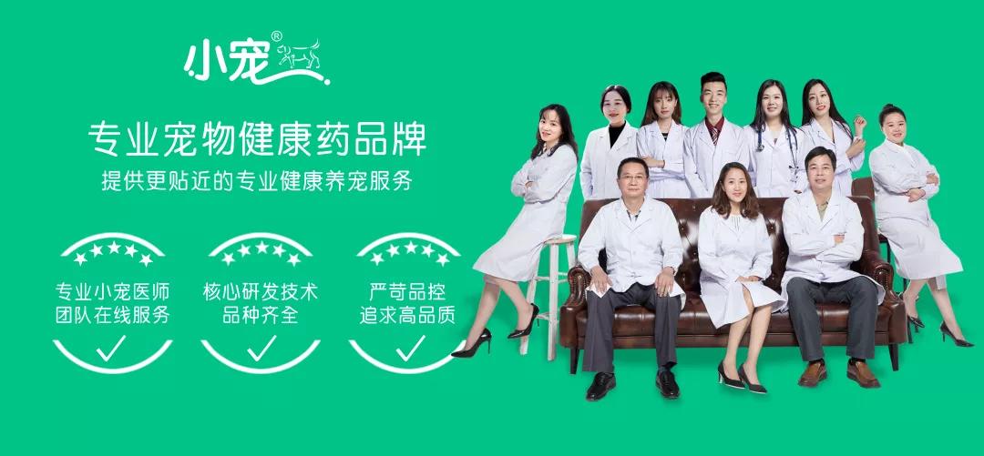 春天猫咪发情夜里总乱叫！想睡个好觉？宠物医师的AB计划