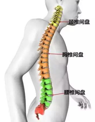 腰椎间盘突出症误区,腰椎间盘突出症的十个注意事项