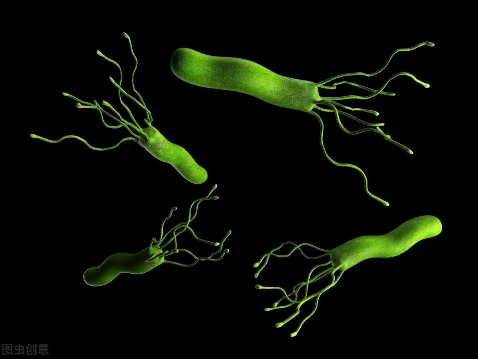 治疗幽门螺杆菌新二联疗法,治疗幽门螺杆菌用三联疗法