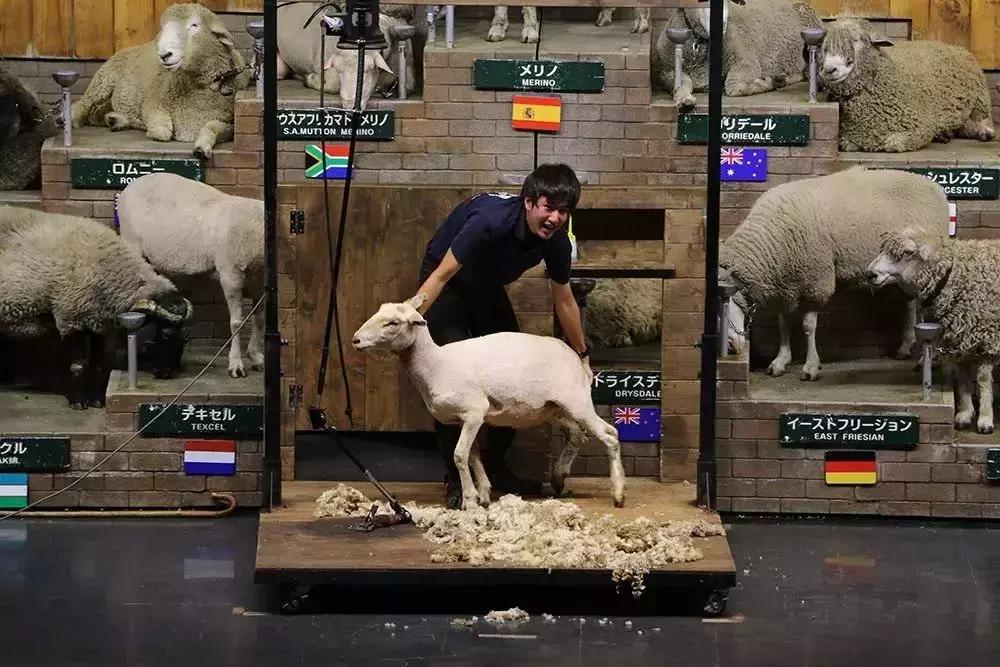 日本顶级农业农场,日本田园农场排行榜