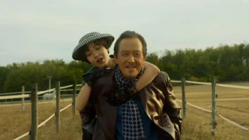 喜宝的剧情解析,喜宝剧情概要