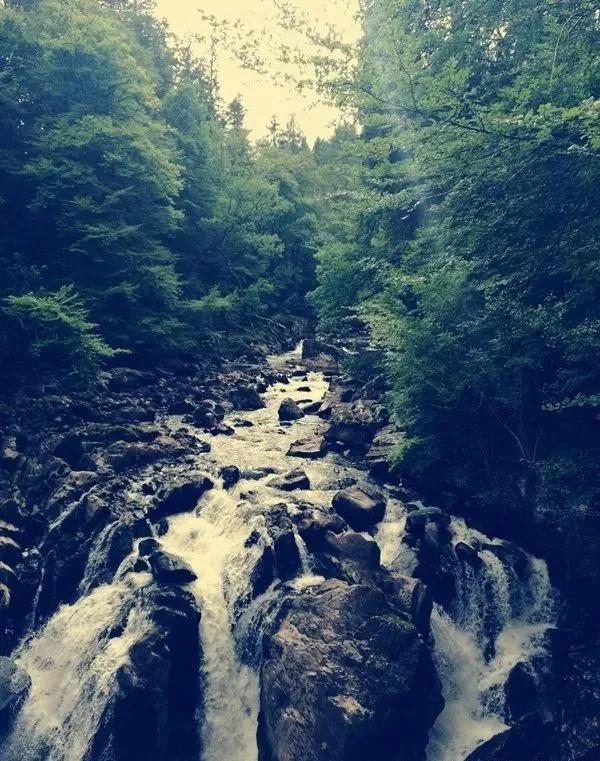 鏋楄崏妞嶇墿璧勬簮绉戞櫘,鏋楄崏鐭ヨ瘑棰樺簱