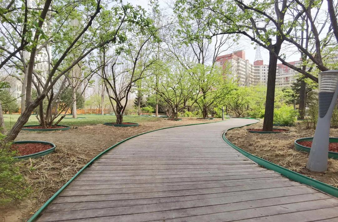 石景山公园绿地景观效果,石景山网红打卡地夜景