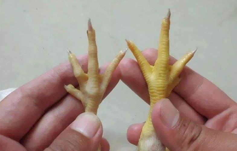 鍒瀵勭敓铏伔璧版垜浠殑鍏绘畺鍒╂鼎,鍒闇夎弻姣掔礌鍋疯蛋浣犵殑鍏绘畺鍒╂鼎