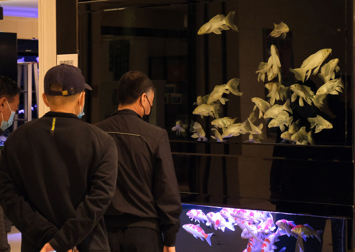 水族行业利润有多高,水族行业惨淡