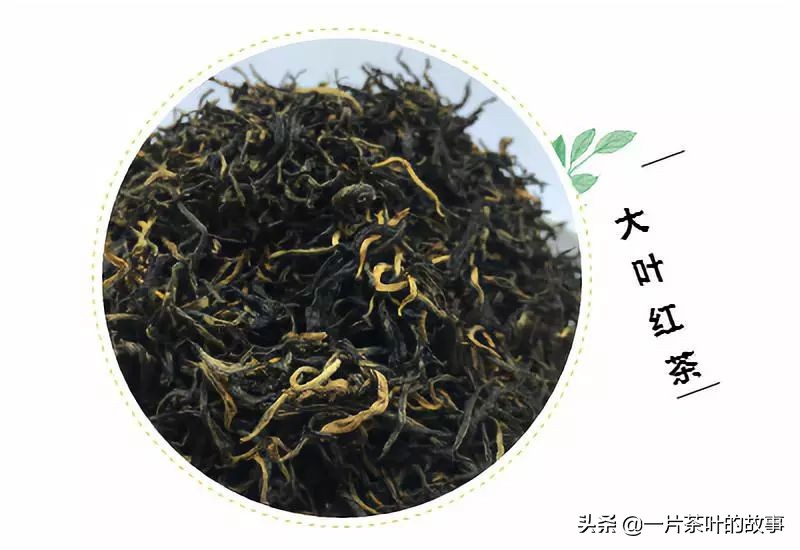 红茶知识最全整理,锡兰红茶蜜香红茶阿萨姆红茶区别