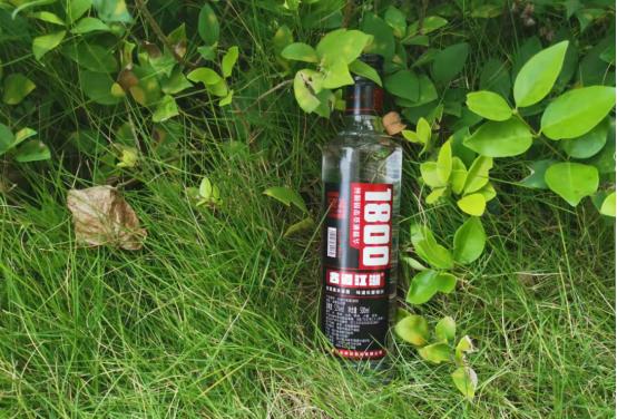 因包装而被嫌弃的白酒盘点,四种被人低估的白酒