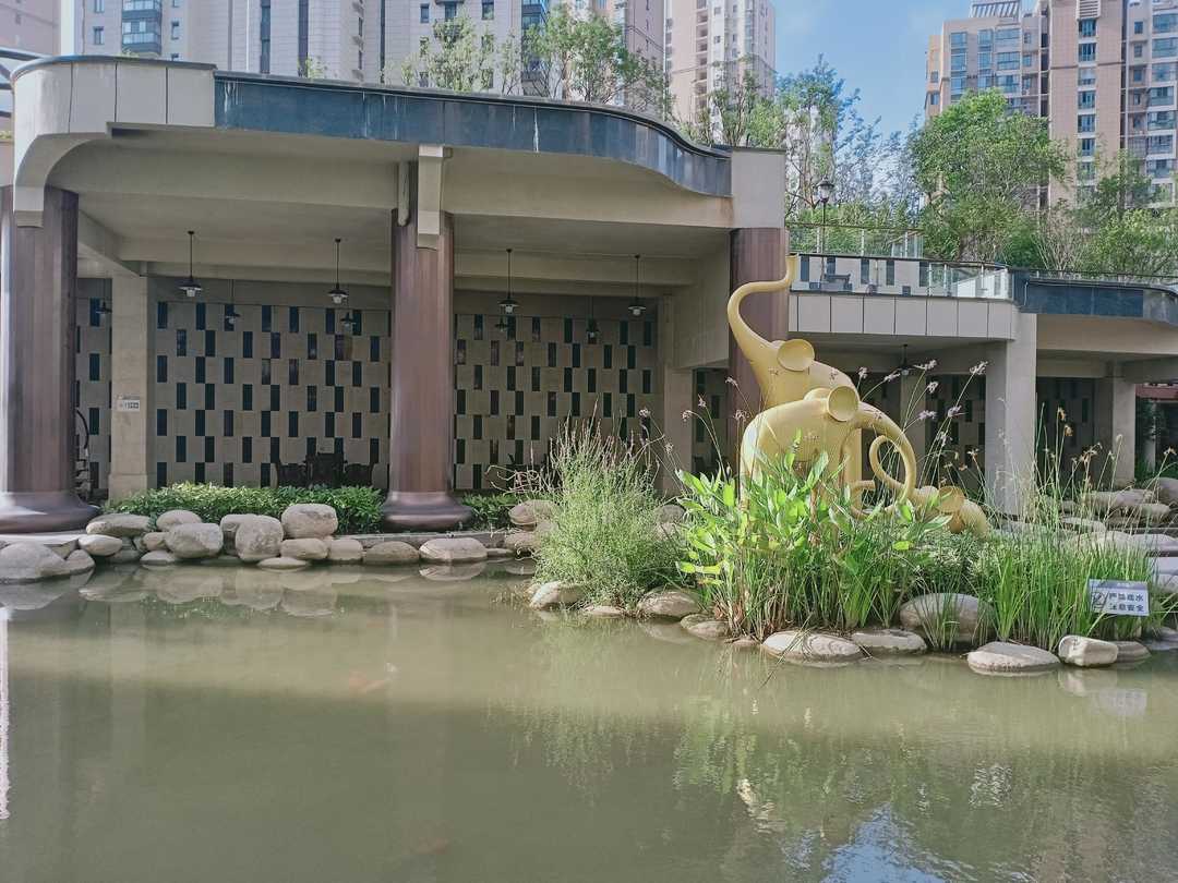 忆当初青春年少,再忆青春完整版