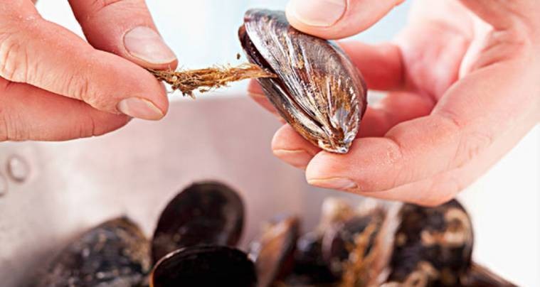 比眼镜蛇毒强的剧毒,比眼镜蛇毒强12倍的虫子