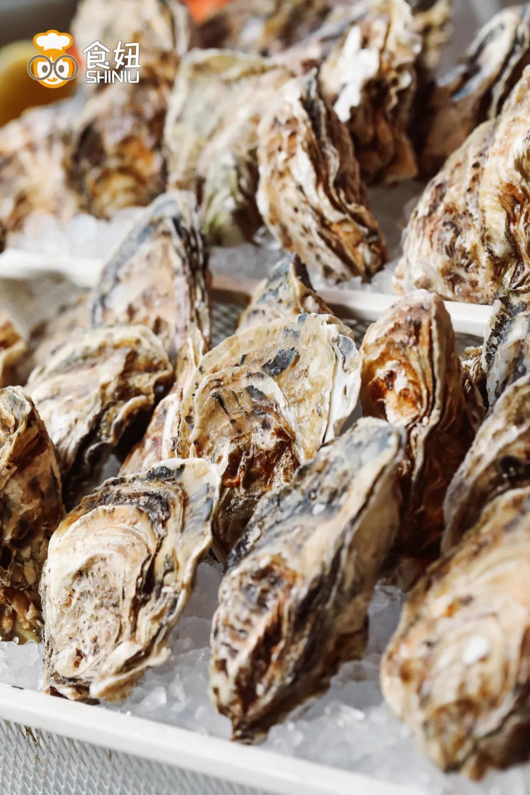 芝士波士顿龙虾不限量自助餐,可以吃波士顿龙虾的自助餐