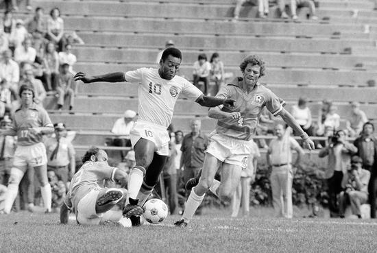 世界杯十大巨星名单,世界杯历史上最出色的七位巨星