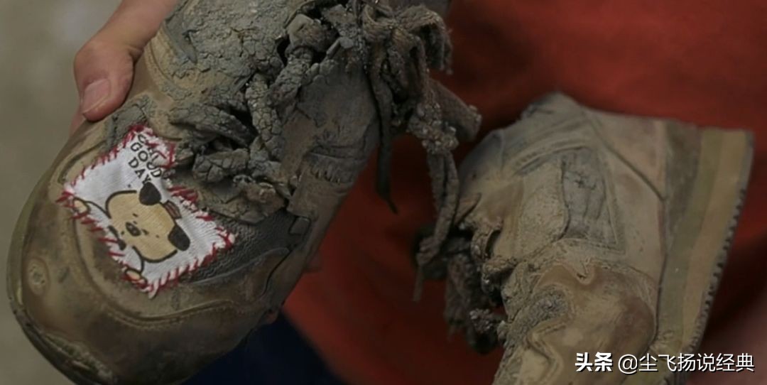 它是香港票房冠军，日本两周破20亿日元，内地却无缘公映