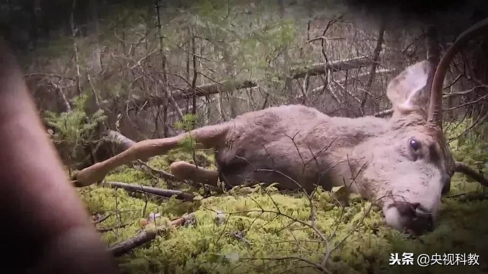 学到就赚到的技巧,学到就是赚到钱的方法
