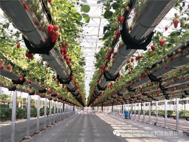 青岛市文旅大项目,青岛文旅创意项目