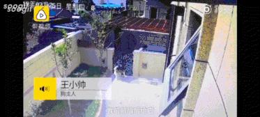 主人花30万打造的豪华狗窝,全网最土豪狗窝