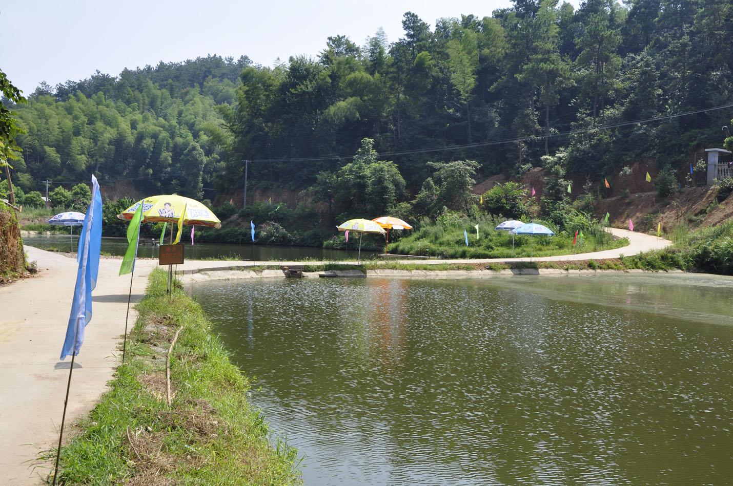 重庆大叔花40万建家庭生态农场，种菜养猪做农家乐，一年获利40万