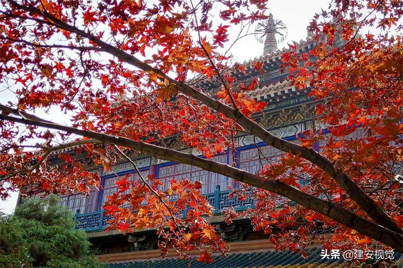 龙蟠虎绕风水宝地,龙蟠紫金山