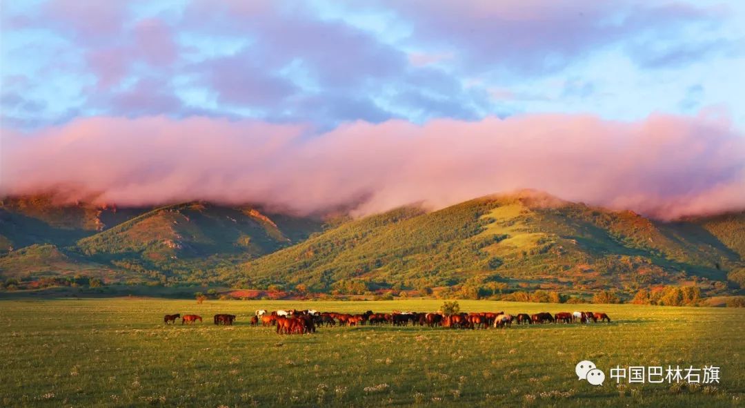 内蒙古巴林右旗的草原美景,赤峰巴林右旗旅游风景区