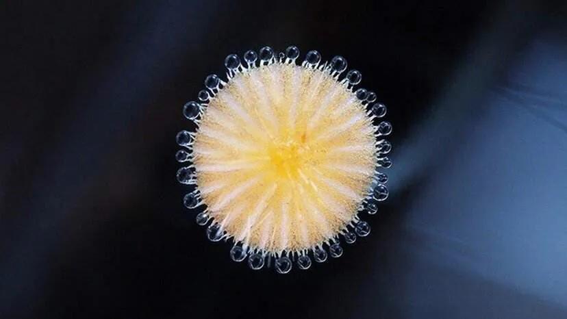 2020最火的微信名干净清新,2022最惊艳个性微信名